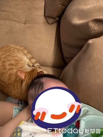 喵星人米糕只愛嬰兒用品。（圖／Threads@zoe_nee321提供）