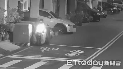 高雄連兩起亂餵流浪動物、野鴿引鼠患　70歲嬤遭開罰1200元