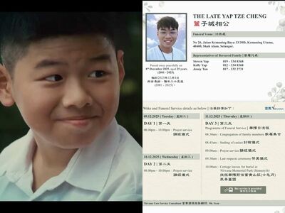 快訊／11歲成爆紅童星！葉子誠逝世得年25歲　家屬悲痛證實