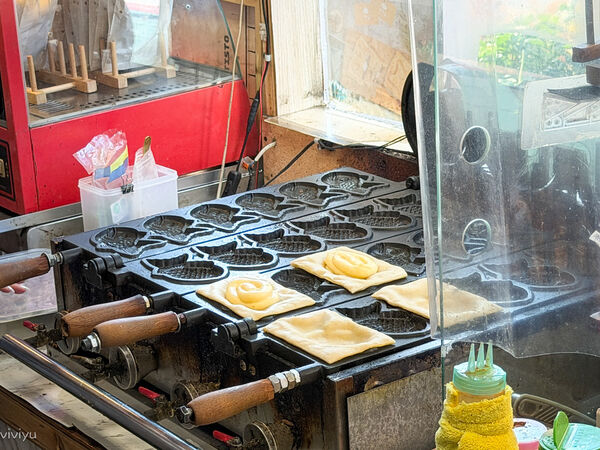 ▲▼「豪野家蜜糖千層鯛魚燒」獨特千層酥皮X創意爆餡鯛魚燒，28層酥脆餅皮，隱藏版香菜花生布蕾更是驚艷。（圖／部落客VIVIYU提供）