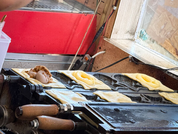 ▲▼「豪野家蜜糖千層鯛魚燒」獨特千層酥皮X創意爆餡鯛魚燒，28層酥脆餅皮，隱藏版香菜花生布蕾更是驚艷。（圖／部落客VIVIYU提供）