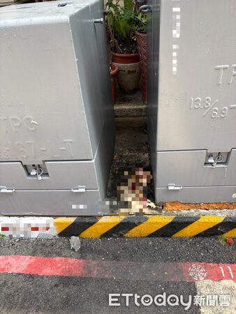 ▲▼顏姓婦人利用凌晨時段，將飼料或廚餘放置在路口的變電箱餵食流浪貓犬，不料卻引來鼠患導致懷境髒亂。（圖／記者吳世龍翻攝）