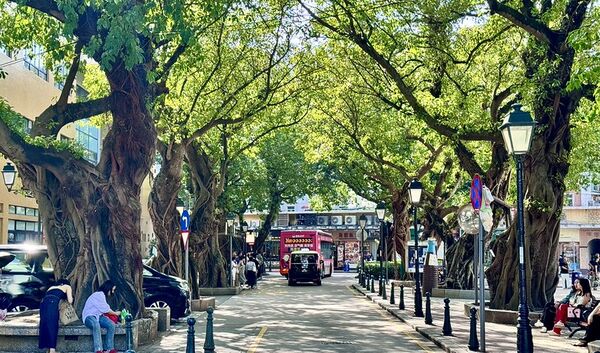 ▲▼澳門官也街美食「何老師窗台咖啡」，窗前現拉花，開心果甜筒卡布奇諾風靡IG圈。（圖／部落客小虎提供）