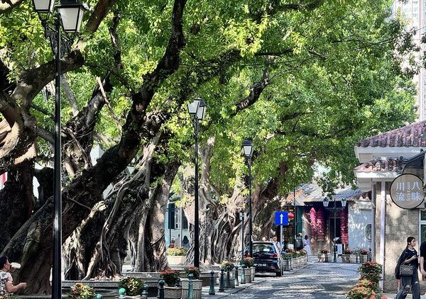 ▲▼澳門官也街美食「何老師窗台咖啡」，窗前現拉花，開心果甜筒卡布奇諾風靡IG圈。（圖／部落客小虎提供）