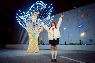 耶誕絢爛燈海閃耀新北河廊　4米聖誕花束成打卡新亮點