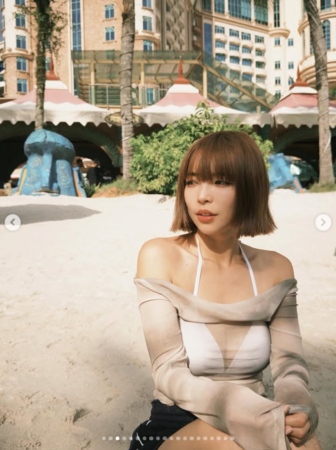 ▲▼一隻阿圓。（圖／翻攝自Instagram／nanaciaociao）