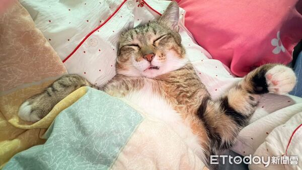 ▲。（圖／Threads@hearsay520提供，請勿隨意翻拍，以免侵權。）