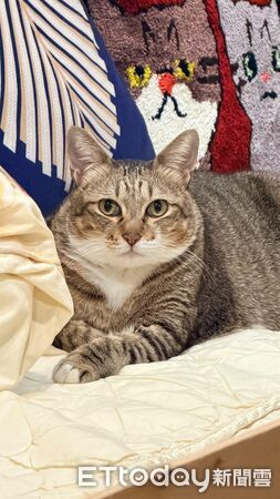 ▲。（圖／Threads@hearsay520提供，請勿隨意翻拍，以免侵權。）