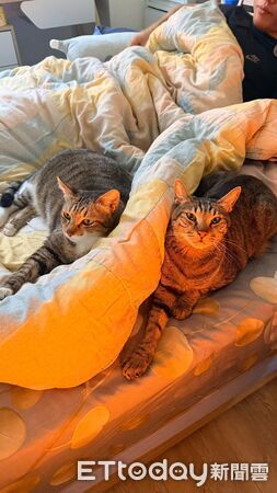 ▲。（圖／Threads@hearsay520提供，請勿隨意翻拍，以免侵權。）