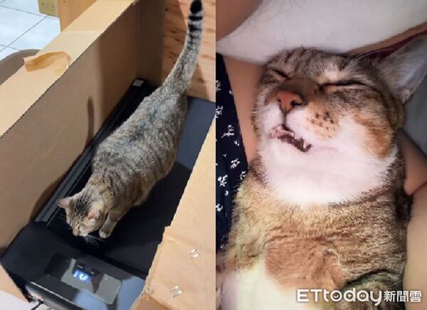 ▲。（圖／Threads@hearsay520提供，請勿隨意翻拍，以免侵權。）