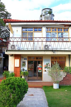 ▲▼台中抹茶專賣店「南田牧野家審計門市」，抹茶控必吃千層蛋糕。（圖／部落客萍子提供）