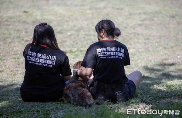 ▲費玉清歲末再度低調捐款100萬元，助全台弱勢流浪貓狗溫飽，9年累積捐款已突破1000萬元，網友大讚暖心善舉。（台灣動物緊急救援小組提供，下同）