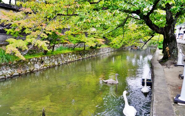 ▲▼倉敷美觀地區。（圖／部落客Mika授權提供）