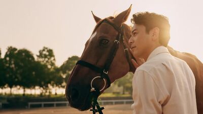 《榮耀家族》妻夫木聰化身賽馬部經理　從小牧場逆襲網評《陸王》賽馬版
