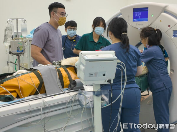 ▲屏科大獸醫教學醫院與高雄市壽山動物園合力治療母獅。（圖／屏科大提供）