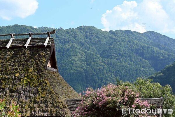 ▲▼             。（圖／記者吳奕靖攝）