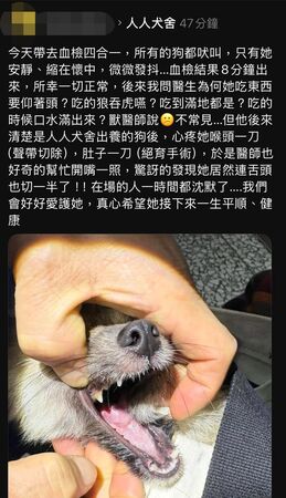 ▲▼人人犬舍罰480萬　米可白喊話縣長：一命只值1萬5？（圖／翻攝自Facebook／米可白）
