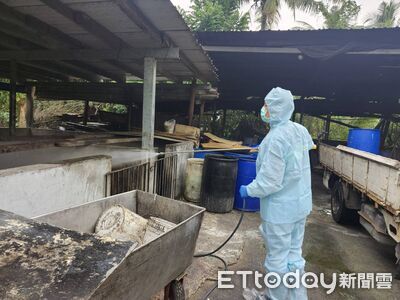 長治鄉養豬場偷餵廚餘!急驗非洲豬瘟陰性 屏東縣府重罰80萬