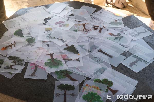 ▲武陵富野渡假村,武陵雪霸國家公園,武陵茶果宴,落羽松,銀杏。（圖／記者彭懷玉攝）