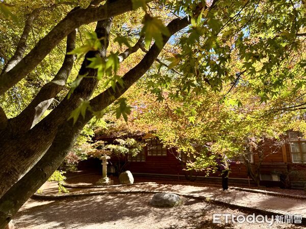 ▲福壽山農場楓紅,蔣公行館「福壽山莊」星空。（圖／記者彭懷玉攝）