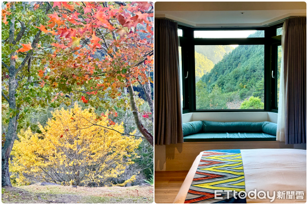 ▲武陵富野渡假村及楓紅;蔣公行館「福壽山莊」下午茶。（圖／記者彭懷玉攝）