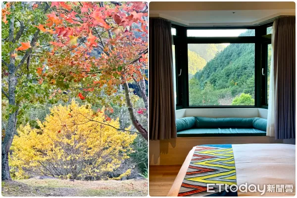 ▲武陵富野渡假村及楓紅;蔣公行館「福壽山莊」下午茶。（圖／記者彭懷玉攝）