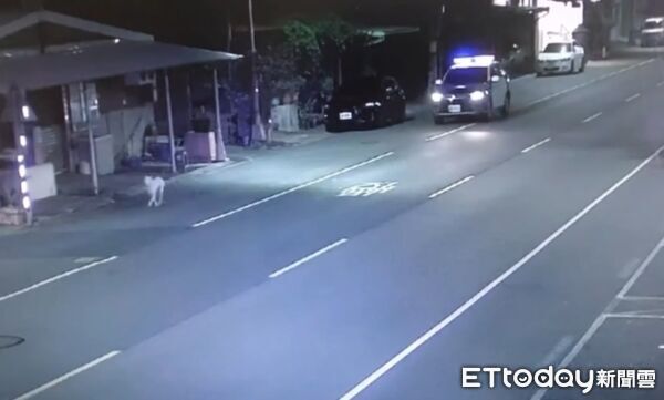 ▲▼沒白養！高雄嬤深夜迷路　「忠心毛孫」當導航。（圖／記者許宥孺翻攝）