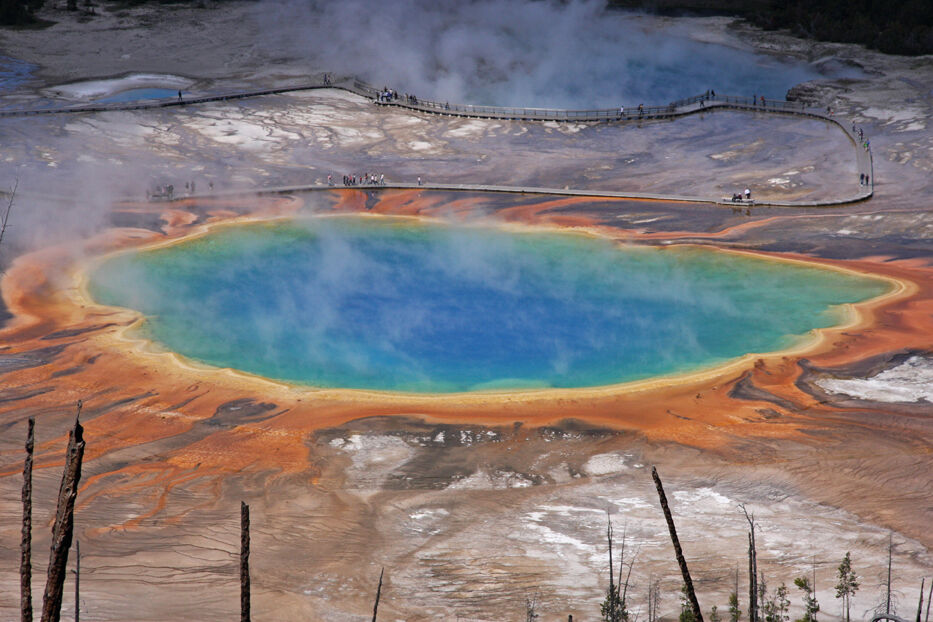 鳳凰旅遊2025金旅獎再創佳績（圖／鳳凰旅遊）