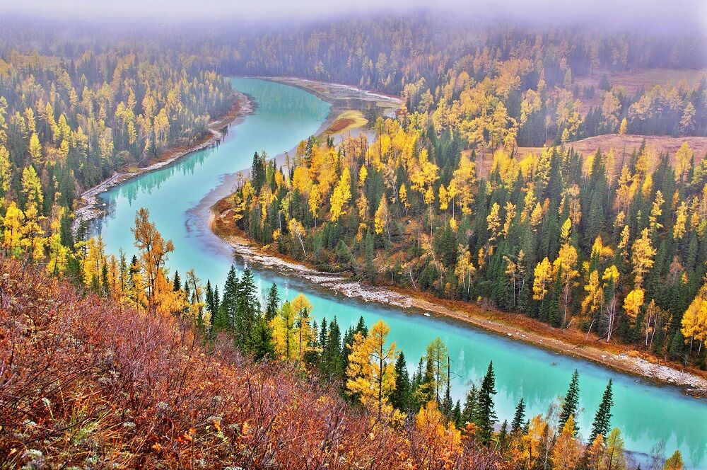鳳凰旅遊2025金旅獎再創佳績（圖／鳳凰旅遊）