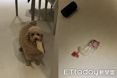 回家「吐司被偷吃」剩包裝！　網見兇手笑翻：不是還剩一條？