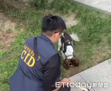 賣大麻煙彈「GPS定位自取」！緝毒萌犬開雷達⋯警挖寶像中樂透