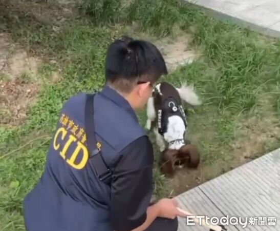 ▲▼ 販大麻煙彈「GPS定位自取」！緝毒萌犬開雷達⋯警狂挖寶像中樂透。（圖／記者許宥孺翻攝）