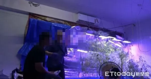 ▲▼             。（圖／記者白珈陽翻攝）