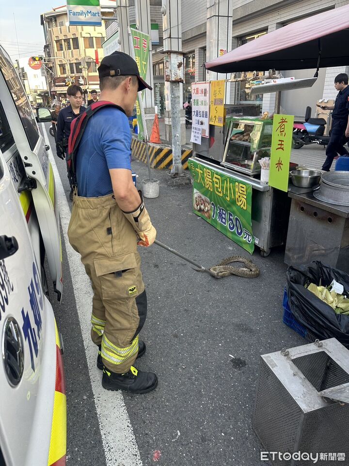 ▲男子被寵物蟒勒到跌倒濺血。（圖／記者陳崑福翻攝）