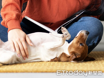 慈愛動物醫院「聖誕報好康！」　處方飼料65折多項優惠慶年末