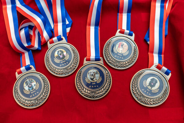 ▲▼         農業部表揚退役執勤犬　公私協力打造退役犬幸福照護     。（圖／農業部）