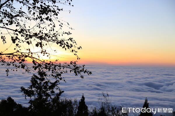 ▲▼   2026元旦衝阿里山，全球必遊日落美景、日出勝地一次看，阿里山賓館推「曙光日出」專案贈祝山線來回火車票   。（圖／阿里山賓館提供）