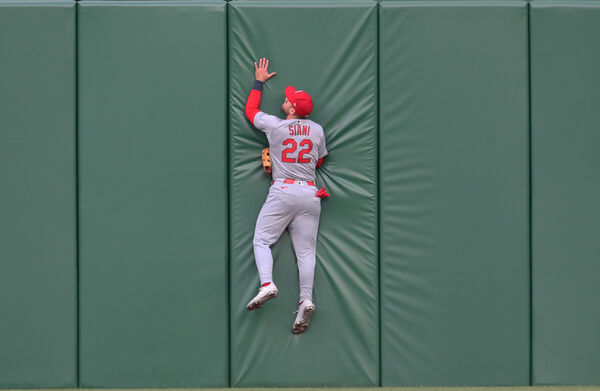 ▲ 西亞尼（Michael Siani）。（圖／取自X、Mlbtraderumors）