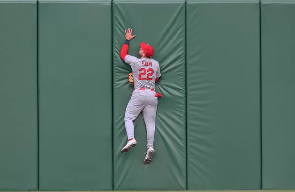 ▲ 西亞尼（Michael Siani）。（圖／取自X、Mlbtraderumors）