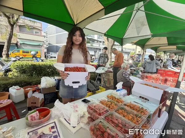 ▲▼路竹番茄節             。（圖／記者陳宏瑞翻攝）