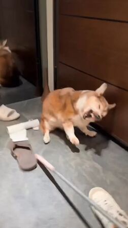 ▲。（圖／翻攝自Threads）