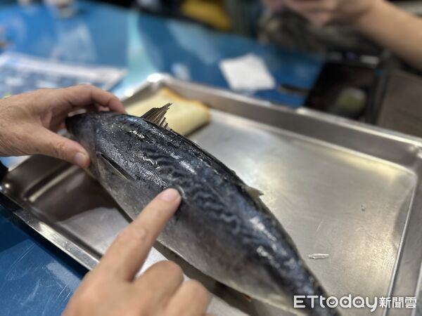▲▼花蓮七星潭海邊的「洄遊吧食魚體驗館」，獲選為百大文化基地。（圖／記者林育綾攝）