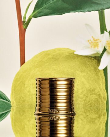 ▲▼美周記。（圖／品牌提供）