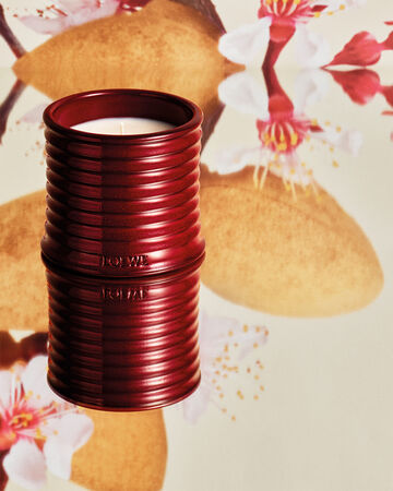 ▲▼美周記。（圖／品牌提供）