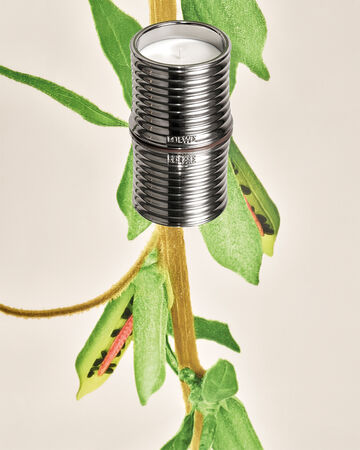 ▲▼美周記。（圖／品牌提供）