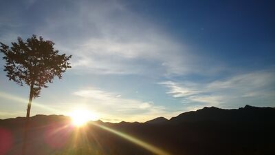 阿里山新年玩法　搭火車上山迎曙光