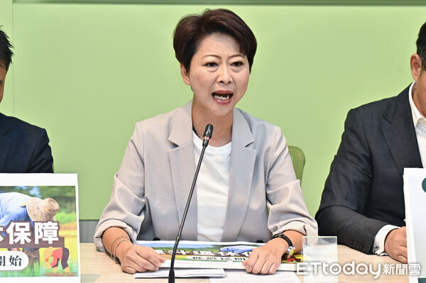 ▲▼立委陳亭妃出席民進黨立法院黨團「國民黨惡意爆料、打擊國防採購、破壞國防自主」記者會。（圖／記者李毓康攝）