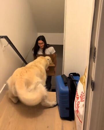 ▲。（圖／翻攝自TikTok／@codythegoldenboy）