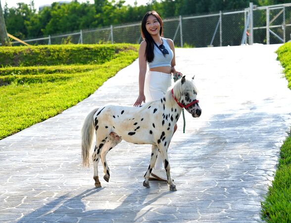 ▲麗寶樂園內全新「美樂地親子農場」即日起試營運，至1月22日前，樂園遊客能免費入場體驗。（圖／業者提供）