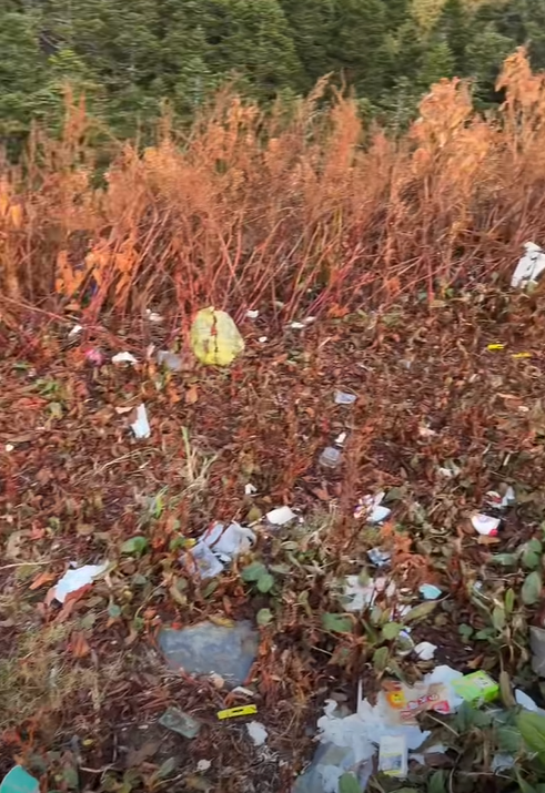 ▲邊坡處滿是垃圾。（圖／翻攝自爆料公社）